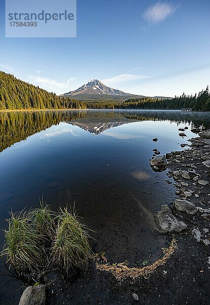 Seeufer  Spiegelung des Vulkans Mt. Hood im See Trillium Lake  im Morgenlicht  Oregon  USA  Nordamerika