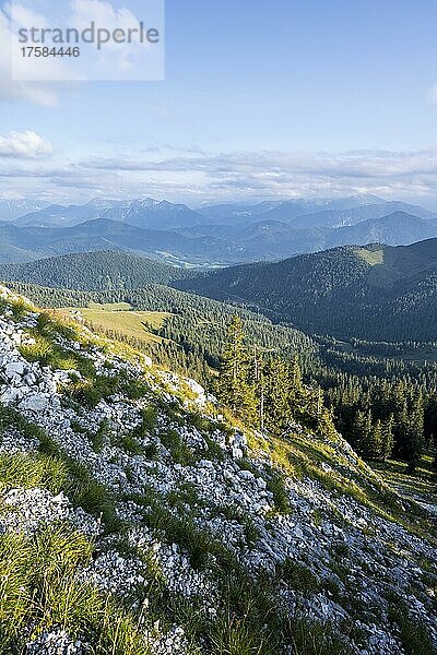 Berge und Landschaft  Wanderung zur Benediktenwand  Bayrische Voralpenlandschaft  Bayern  Deutschland  Europa