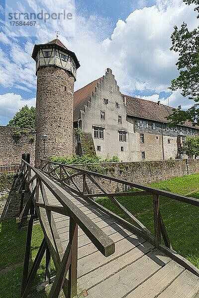 Stadtturm  Diebesturm  und Weingut  Michelstadt  Odenwald  Hessen  Deutschland  Europa