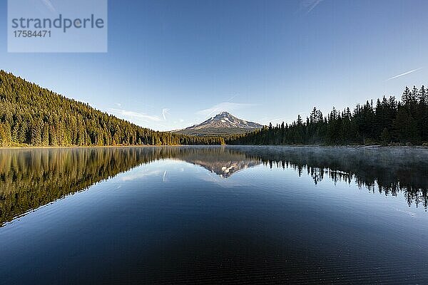 Spiegelung des Vulkans Mt. Hood im See Trillium Lake  im Morgenlicht  Oregon  USA  Nordamerika