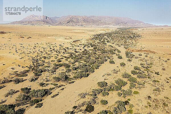 Das trockene Bett des Ugab-Flusses durchschneidet trockene Wüstenebenen hinter dem Brandberg  Namibias höchstem Berg  Luftaufnahme  Drohnenaufnahme  Damaraland  Namibia  Afrika