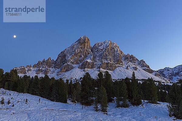 Peitlerkofel in der Abenddämmerung mit Mond  Herbst  Saß de Putia  San Martino in Badia  St. Martin in Thurn  Dolomiten  Trentino-Südtirol  Südtirol  Italien  Europa