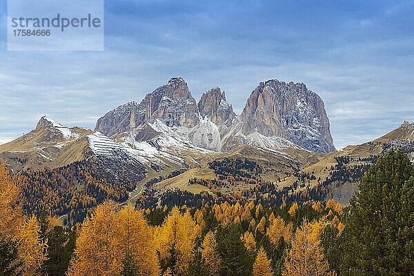 Langkofel im Herbst  Passo di Pordoi  Canazei  Dolomiten  Trentino-Südtirol  Südtirol  Italien  Europa