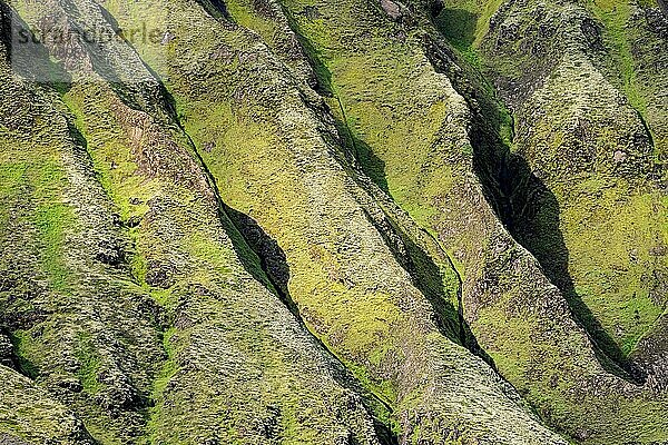 Detail  Bergrücken  Landschaft mit Bergen  Pakgil  Island  Europa