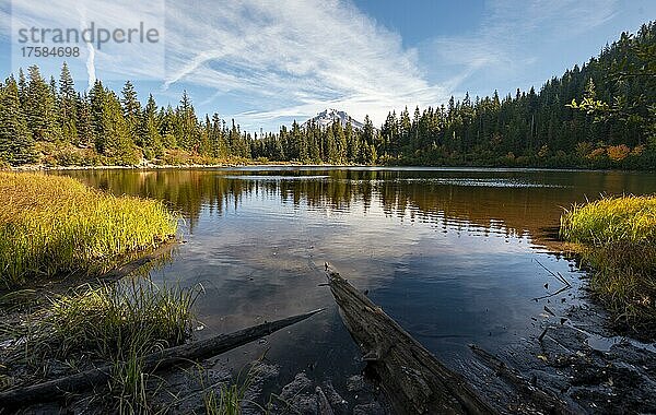 See Mirror Lake mit Wald  hinten Gipfel des Vulkans Mt Hood  Oregon  USA  Nordamerika