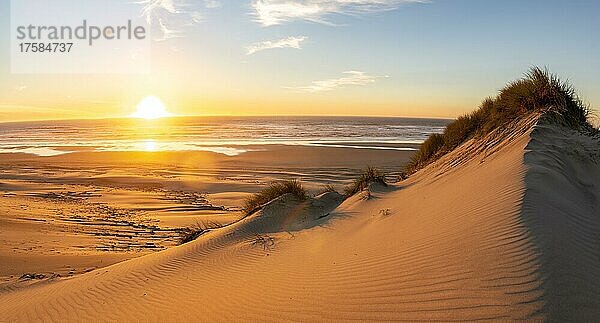 Sonnenuntergang über dem Meer  Sandstrand mit Sanddünen an der Küste  Alder Dune  Baker Beach  Aussichtspunkt Holman Vista  Oregon  USA  Nordamerika