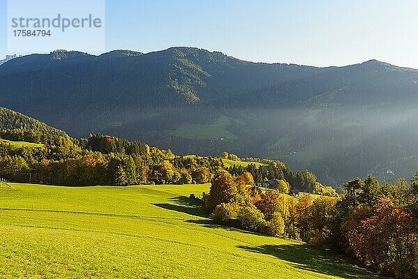 Herbstliche Berglandschaft  Oberaicha  Tiers  Dolomiten  Trentino-Südtirol  Südtirol  Italien  Europa