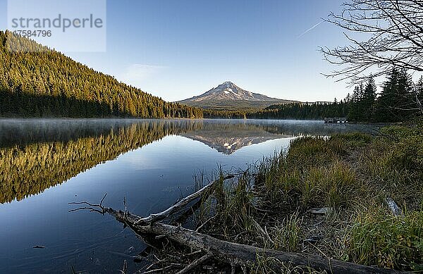 Seeufer  Spiegelung des Vulkans Mt. Hood im See Trillium Lake  im Morgenlicht  Oregon  USA  Nordamerika