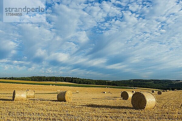 Strohrollen auf dem Lande im Sommer  Neudorf  Miltenberg  Bayern  Deutschland  Europa