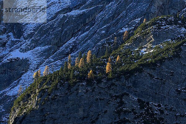 Berghang mit bunten Lärchen im Herbst  Pragser Wildsee  Provinz Bozen  Provinz Bozen  Südtirol  Dolomiten  Italien  Europa
