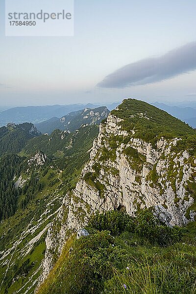 Benediktenwand  Berge und Landschaft  Bayrische Voralpenlandschaft  Bayern  Deutschland  Europa