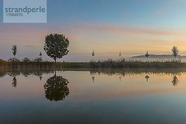 Landschaft mit sich im See spiegelnden Bäumen in der Morgendämmerung  Drei Gleichen  Ilm-Kreis  Thüringen  Deutschland  Europa