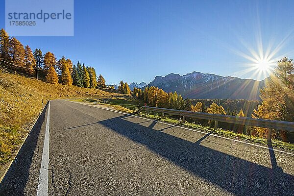 Bergstraße mit Herbstsonne  Vigo di Fassa  Dolomiten  Trentino-Südtirol  Südtirol  Italien  Europa