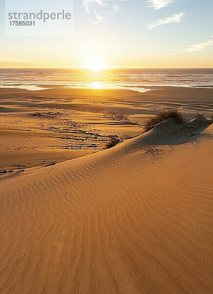 Sonnenuntergang über dem Meer  Sandstrand mit Sanddünen an der Küste  Alder Dune  Baker Beach  Aussichtspunkt Holman Vista  Oregon  USA  Nordamerika