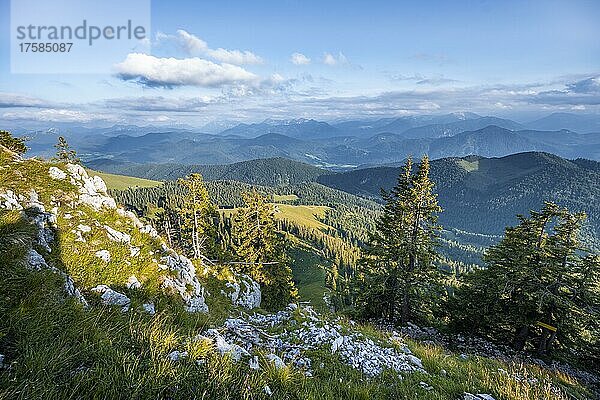 Berge und Landschaft  Wanderung zur Benediktenwand  Bayrische Voralpenlandschaft  Bayern  Deutschland  Europa
