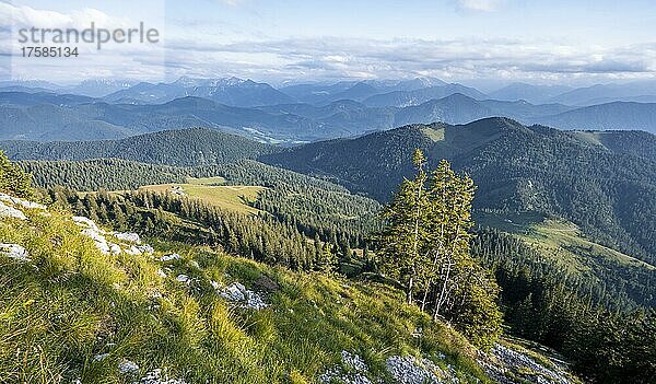 Berge und Landschaft  Wanderung zur Benediktenwand  Bayrische Voralpenlandschaft  Bayern  Deutschland  Europa