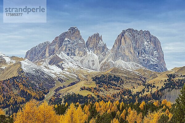 Langkofel im Herbst  Passo di Pordoi  Canazei  Dolomiten  Trentino-Südtirol  Südtirol  Italien  Europa