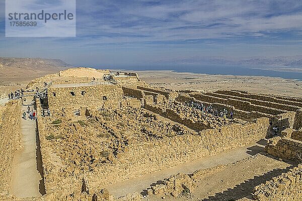 Touristen am Nordpalast  Festungsanlage  Ruinen von Masada  Totes Meer  Israel  Asien