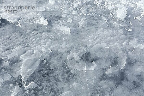 Eisbrocken auf einer gefrorenen Fläche  Sankt-Lorenz-Strom  Provinz Quebec  Kanada  Nordamerika