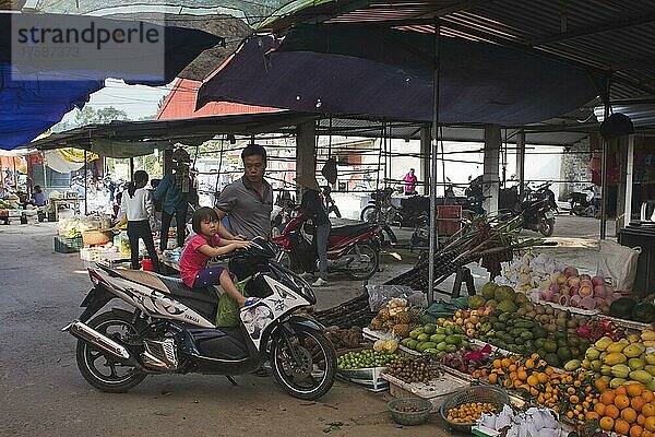 Markt  Bezirk Halong  Vietnam  Asien