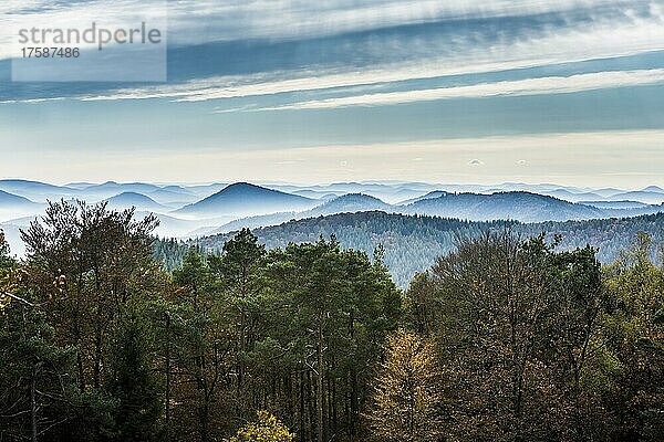 Herbstlich verfärbter Wald und Berge  Blick vom Rehbergturm  Annweiler  Pfälzer Wald  Rheinland-Pfalz  Deutschland  Europa