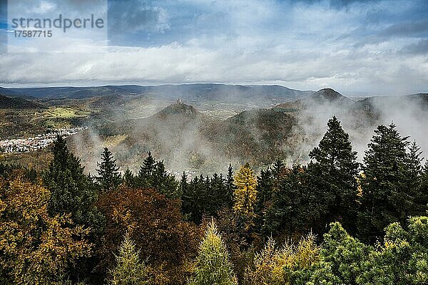 Herbstlich verfärbter Wald und Berge  Blick vom Rehbergturm auf die Burg Trifels  Annweiler  Pfälzer Wald  Rheinland-Pfalz  Deutschland  Europa