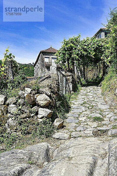 Passadicos-Weg  Dorf Sistelo  Peneda Geres  Minho  Portugal  Europa