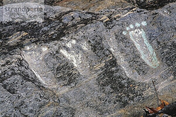 Petroglyphen von Vigirima  auch bekannt als Tronconero's Painted Stone  archäologische Stätte Piedra Pintada  Nationalpark San Esteban  Staat Carabobo  Venezuela  Südamerika