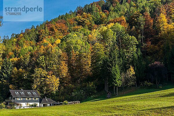 Herbstlandschaft mit kleinem Haus und bunten Bäumen in der Nähe von Graz  Steiermark  Österreich  Europa