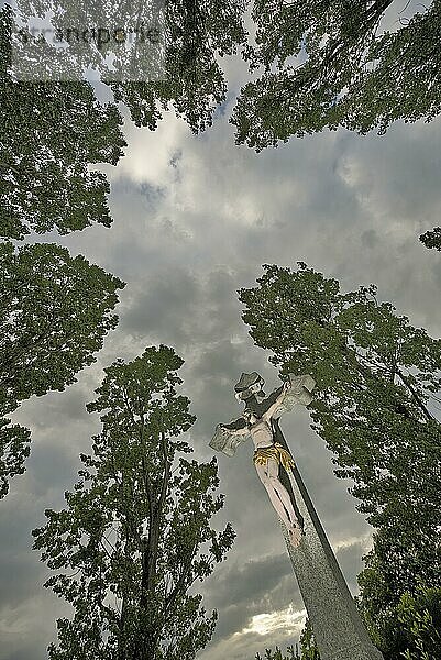 Jesus am Kreuz  unter freiem Himmel  von Bäumen umringt  ungewöhnliche Perspektive von unten  gegen Himmel  Fislisbach  Kanton Aargau  Schweiz  Europa