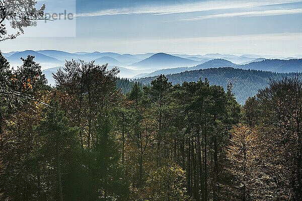 Herbstlich verfärbter Wald und Berge  Blick vom Rehbergturm  Annweiler  Pfälzer Wald  Rheinland-Pfalz  Deutschland  Europa
