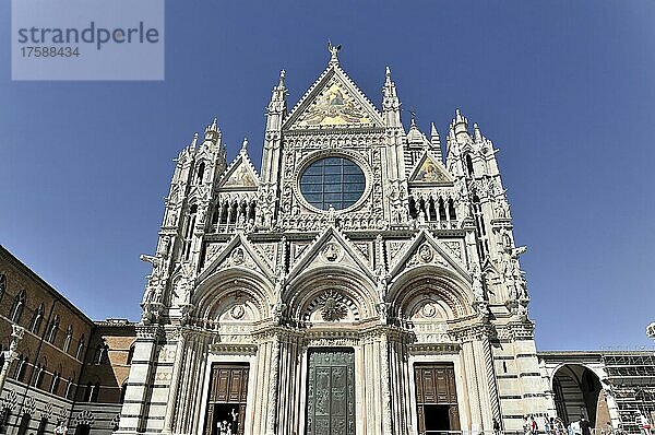 Dom von Siena  Cattedrale di Santa Maria Assunta  UNESCO Weltkulturerbe  Siena  Toskana  Italien  Europa