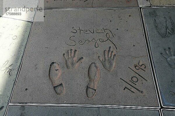 Handabdrücke und Fußabdrücke von STEVEN SEAGAL  Hollywood Boulevard  Los Angeles  Kalifornien  USA  Nordamerika