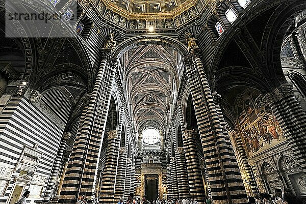 Innenraum mit gestreiften Säulen und verzierter Decke  Dom von Siena oder Cattedrale di Santa Maria Assunta  Siena  Toskana  Italien  Europa