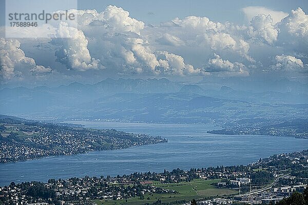 Ausblick vom Uetliberg auf den Zürisee  Zürichsee  Kanton Zürich  Schweiz  Europa