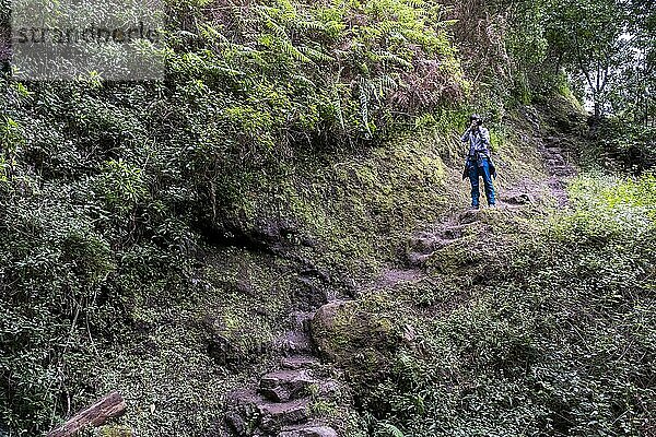 Wanderin auf Wanderweg bei Miradouro do Cabo de Larano  Madeira  Portugal  Europa