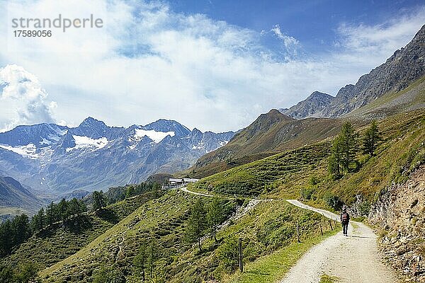 Wanderer am Weg von der Timmelsjochstraße zur Oberglanegg Alm  Naturpark Texelgruppe  Passeiertal  Ötztaler Alpen  Südtirol  Italien  Europa