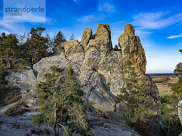 Felsformation Hamburger Wappen  Naturschutzgebiet Teufelsmauer  bei Timmenrode  Harz  Sachsen-Anhalt  Deutschland  Europa