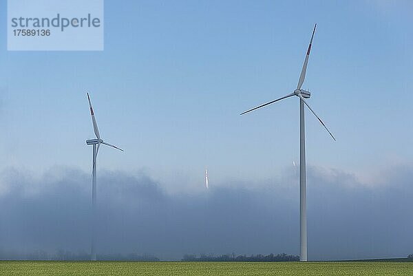 Windkraftanlagen im Nebel  Hohe Börde  Bornstedt  Sachsen-Anhalt  Deutschland  Europa