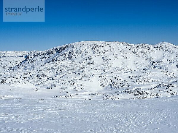 Blauer Himmel über Winterlandschaft  Aussicht vom Krippenstein auf verschneite Berggipfel  und Gletscher  Salzkammergut  Oberösterreich  Österreich  Europa
