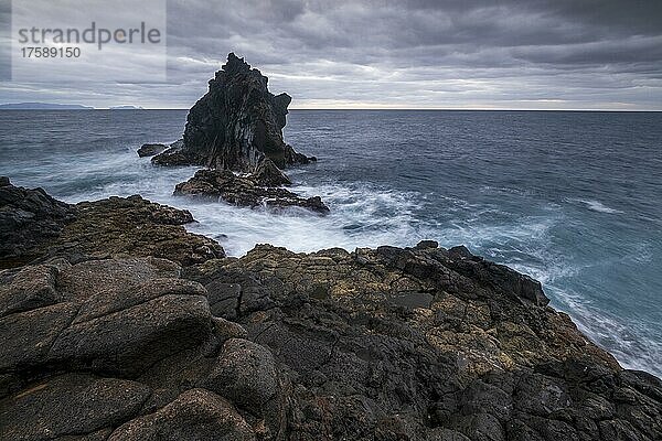 Morgenstimmung  Felsenküste  Ilhéu de Santa Catarina  Lavafelsen im Meer  Madeira  Portugal  Europa