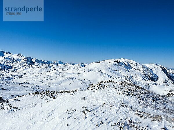 Blauer Himmel über Winterlandschaft  Aussicht vom Krippenstein auf verschneite Berggipfel  und Gletscher  Salzkammergut  Oberösterreich  Österreich  Europa