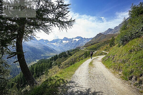 Wanderer am Weg von der Timmelsjochstraße zur Oberglanegg Alm  Naturpark Texelgruppe  Passeiertal  Ötztaler Alpen  Südtirol  Italien  Europa