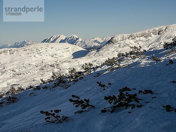Winterlandschaft  schneebedeckte Berggipfel  Blick vom Krippenstein  Salzkammergut  Oberösterreich  Österreich  Europa