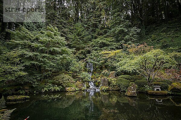 Angelegter Teich mit Wasserfall in dicht bewachsenem Garten  Japanischer Garten  Portland  Oregon  USA  Nordamerika