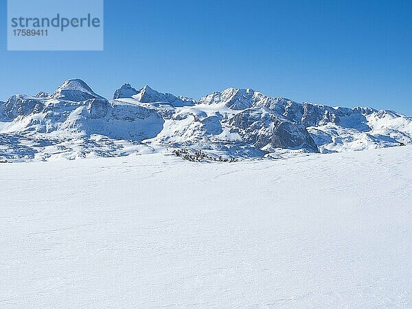 Winterlandschaft in den verschneiten Alpen  Dachsteinmassiv  Blick vom Hochplateau am Krippenstein  Salzkammergut  Oberösterreich  Österreich  Europa
