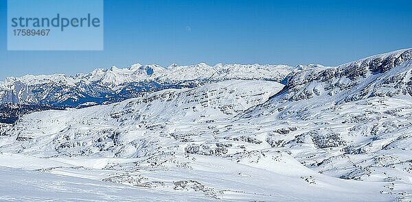 Blauer Himmel über Winterlandschaft  Aussicht vom Krippenstein auf verschneite Berggipfel  und Gletscher  Salzkammergut  Oberösterreich  Österreich  Europa