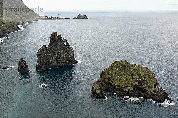 Vulkanische Felsformationen  Felsnadel Ilheus da Rib  Steilküste von Ribeira da Janela  Lanceiros  Madeira  Portugal  Europa