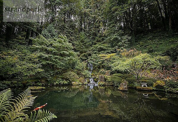 Angelegter Teich mit Wasserfall in dicht bewachsenem Garten  Japanischer Garten  Portland  Oregon  USA  Nordamerika