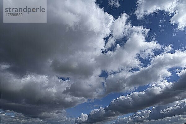 Regenwolken (Nimbostratus)  Bayern  Deutschland  Europa